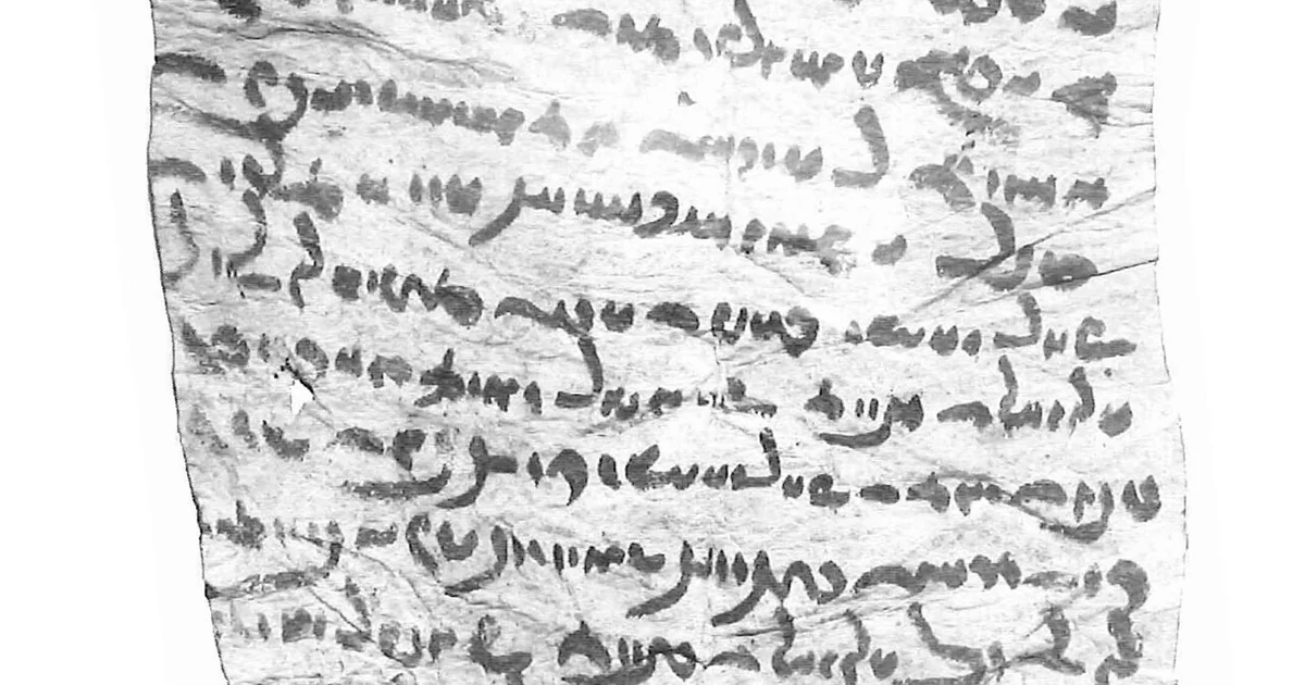 A legal documen, written in Pahlavi language on parchment, in the year 728 AD.